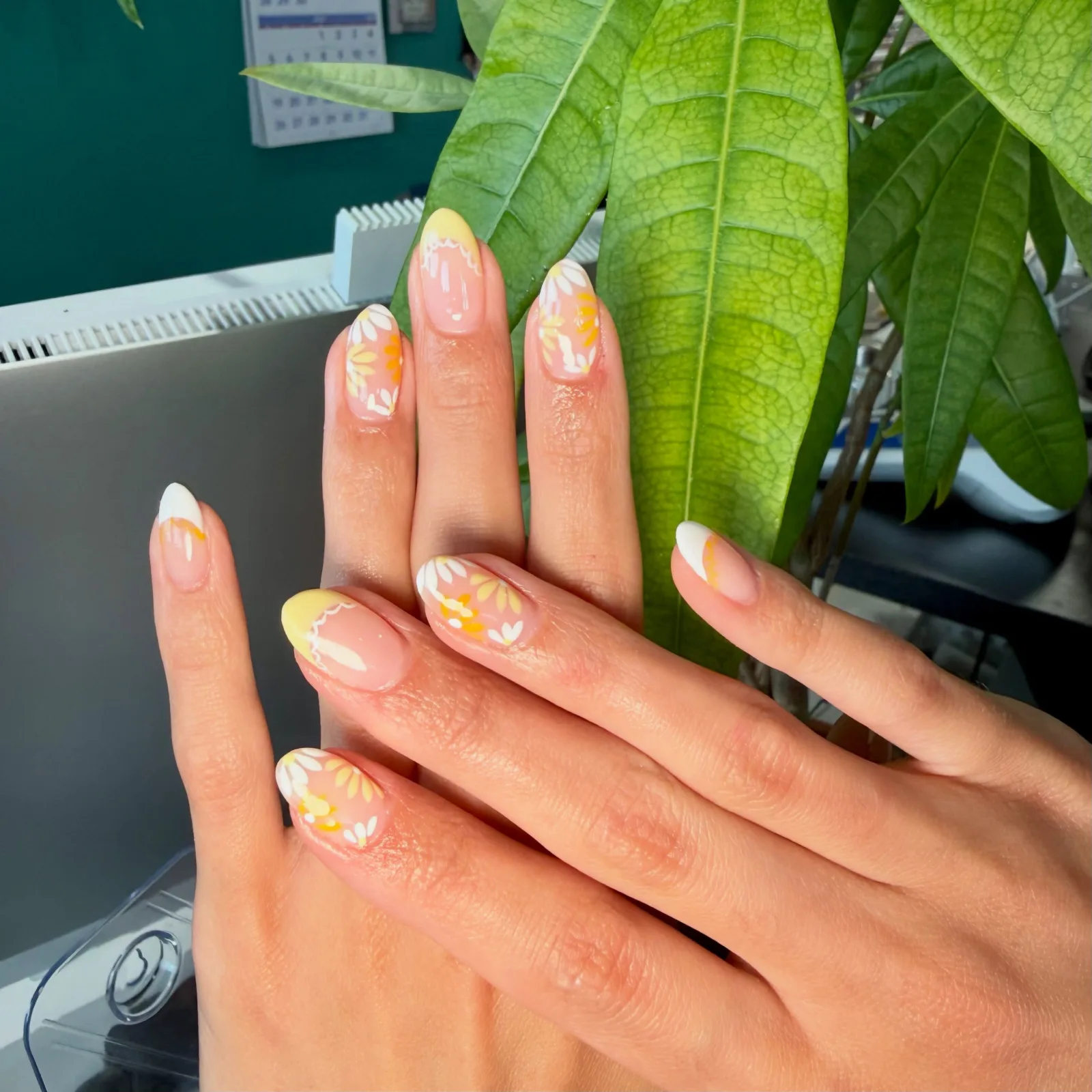 White and yellow daisies painted over a sheer pink base, with yellow and white French tips